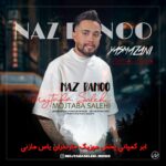 دانلود اهنگ مازندرانی مجتبی صالحی بنام ناز بانو