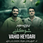 دانلود اهنگ مازندرانی وحید حیدری بنام شوکفنی