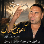 دانلود اهنگ مازندرانی سعید بهروزی بنام آهوی شمالی